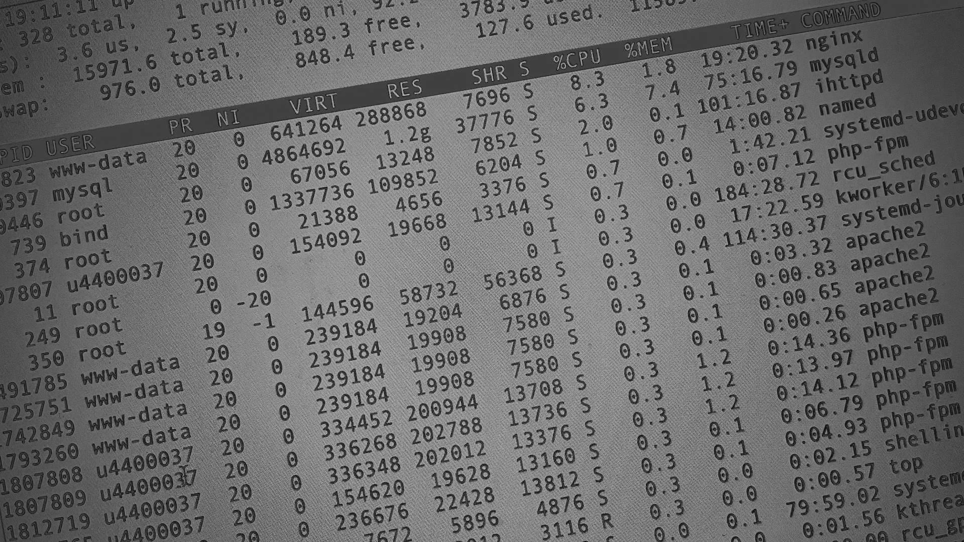 Настройка сервера в Шатуре