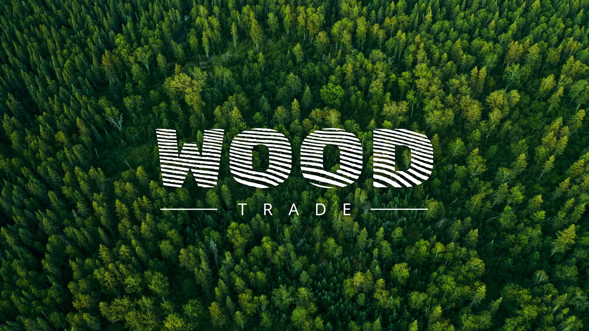 Разработка интернет-магазина компании «Wood Trade» в Шатуре