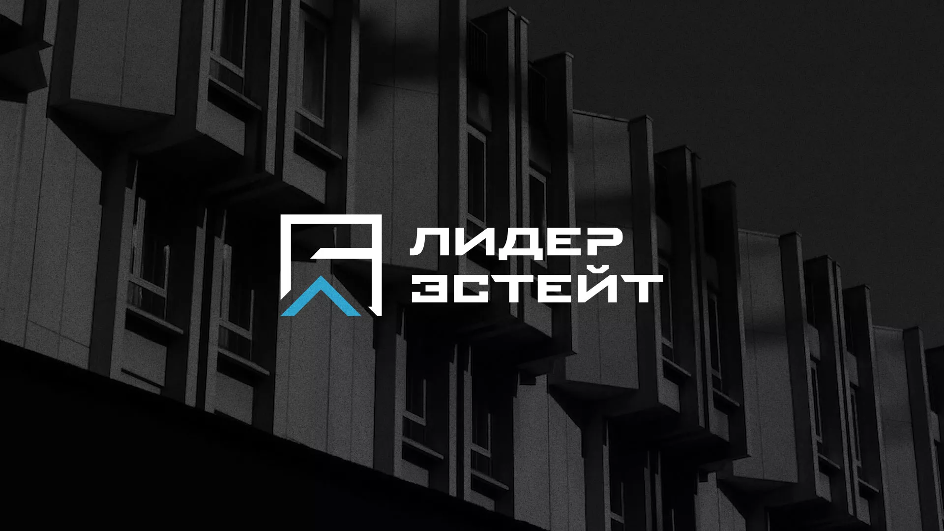 Разработка логотипа агентства недвижимости «Лидер Эстейт» в Шатуре